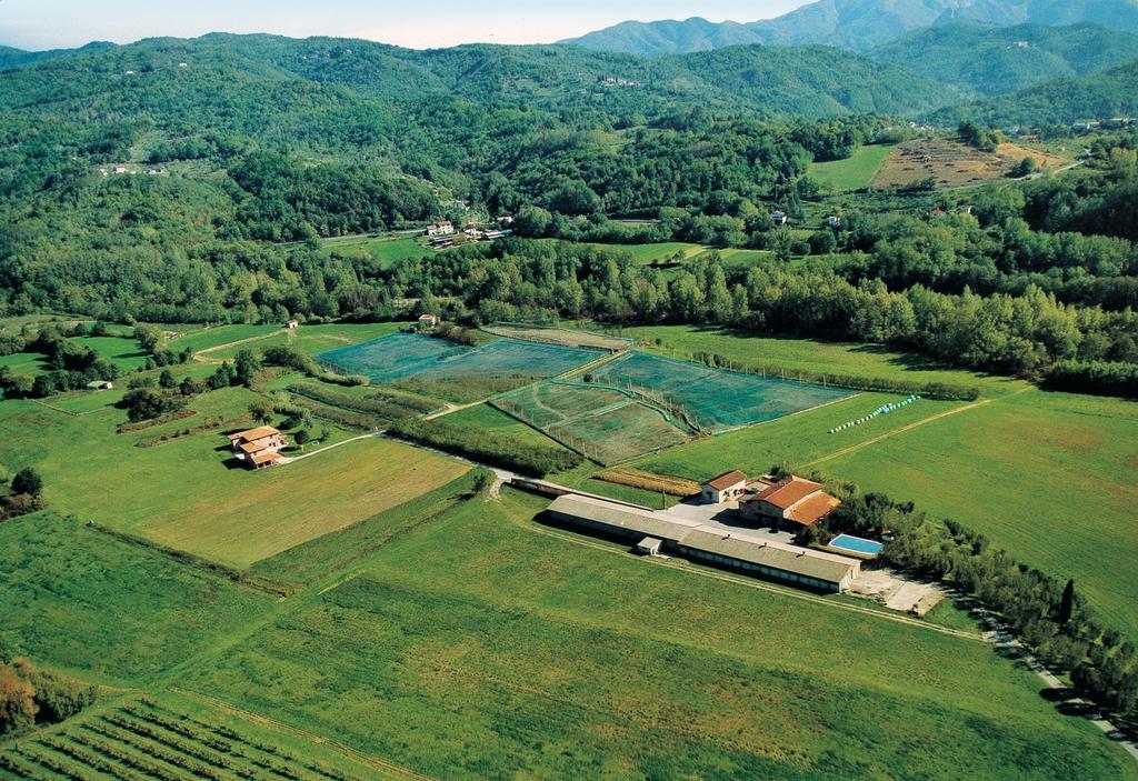 Agriturismo La Praduscella Fivizzano Exterior photo